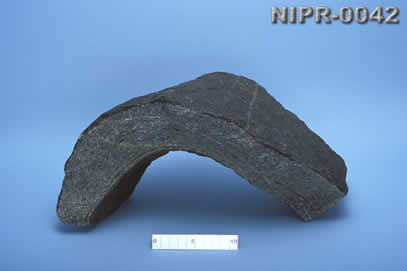 NIPR-0042