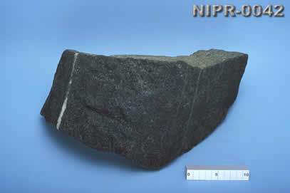 NIPR-0042