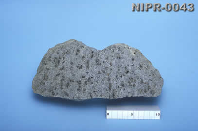 NIPR-0043