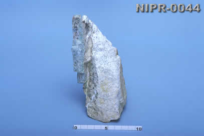 NIPR-0044