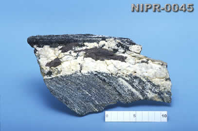NIPR-0045