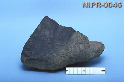 NIPR-0046