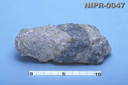 NIPR-0047