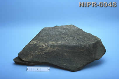 NIPR-0048