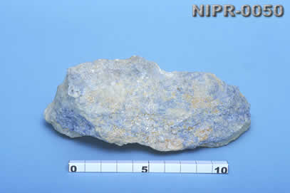 NIPR-0050
