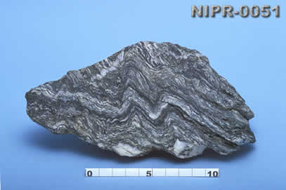 NIPR-0051