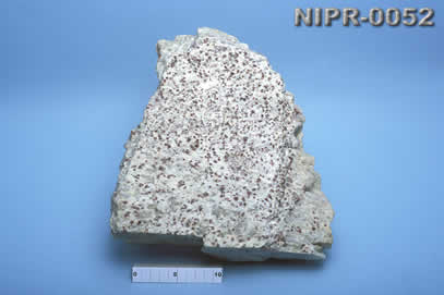 NIPR-0052