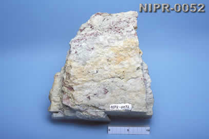 NIPR-0052