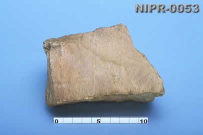 NIPR-0053