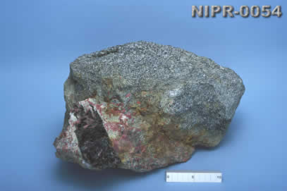 NIPR-0054