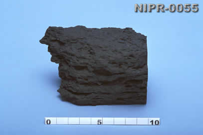 NIPR-0055