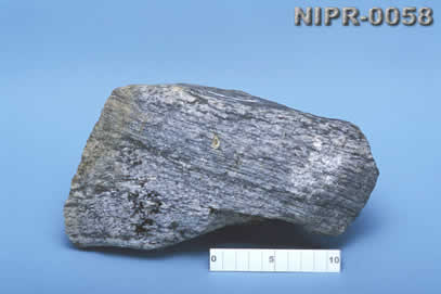 NIPR-0058