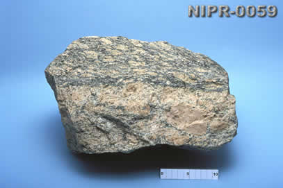 NIPR-0059