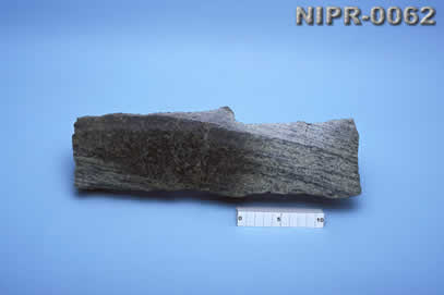 NIPR-0062
