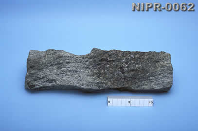 NIPR-0062