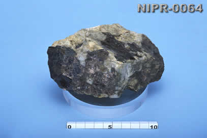 NIPR-0064