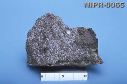NIPR-0065