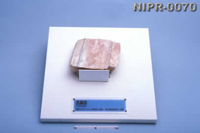 NIPR-0070