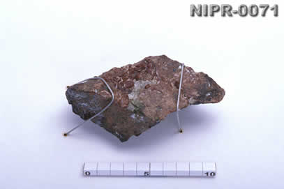 NIPR-0071