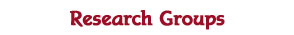 Research Groups