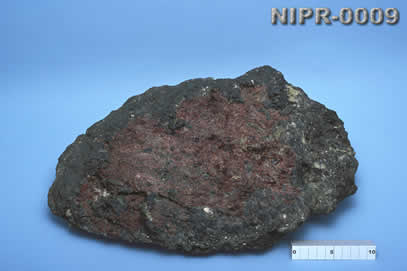 NIPR-0009