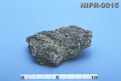 NIPR-0015