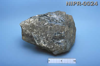 NIPR-0024
