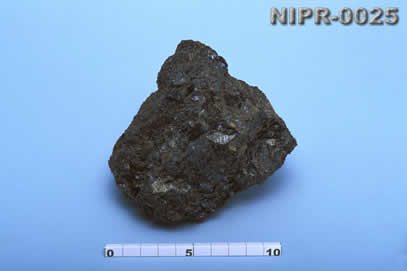 NIPR-0025