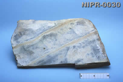 NIPR-0030