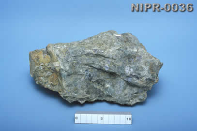 NIPR-0036