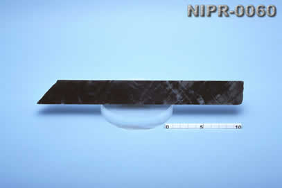 NIPR-0060