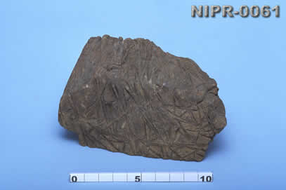 NIPR-0061